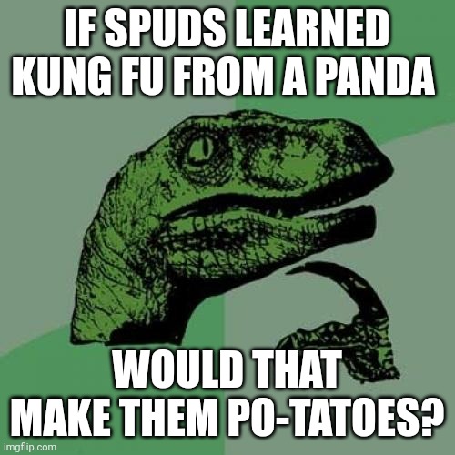 Po-tatoes | IF SPUDS LEARNED KUNG FU FROM A PANDA; WOULD THAT MAKE THEM PO-TATOES? | image tagged in memes,philosoraptor | made w/ Imgflip meme maker