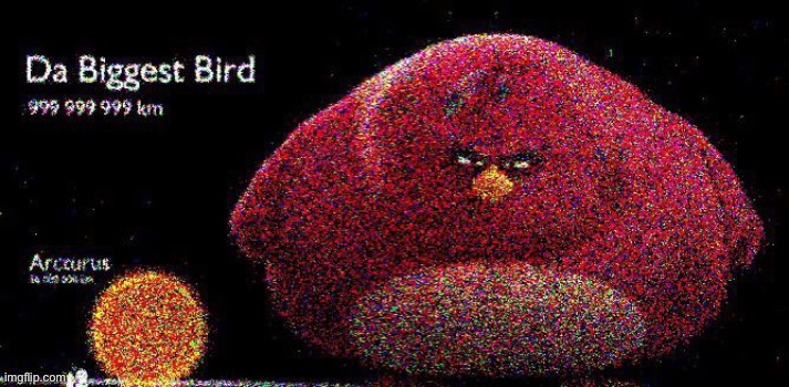 When bird is big: | image tagged in random,memes,funny | made w/ Imgflip meme maker