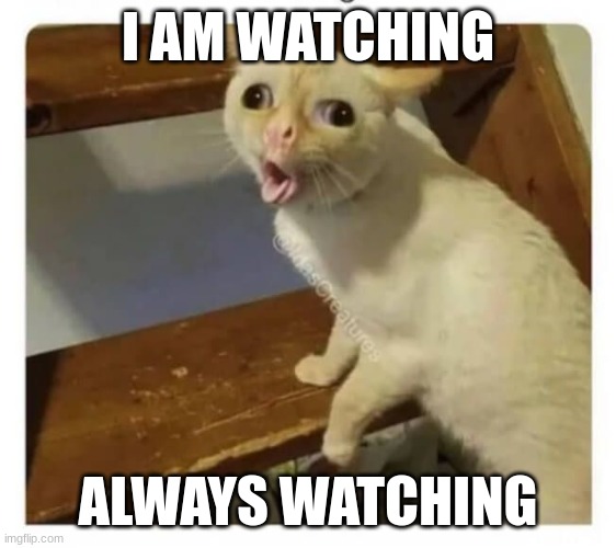 Coughing Cat | I AM WATCHING ALWAYS WATCHING | image tagged in coughing cat | made w/ Imgflip meme maker