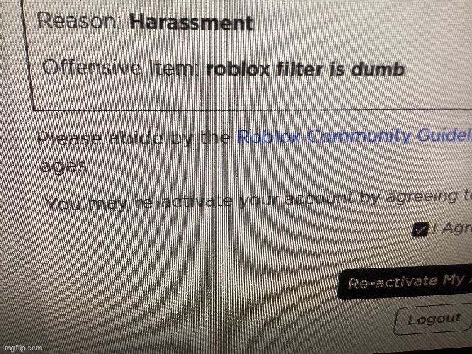 Roblox chat filter is dumb | image tagged in roblox | made w/ Imgflip meme maker