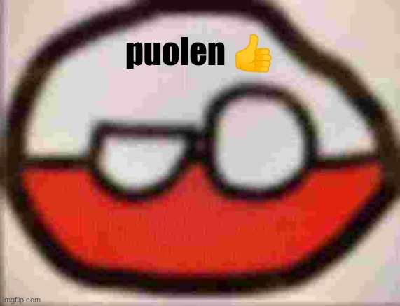 puolen | puolen 👍 | image tagged in puolen | made w/ Imgflip meme maker