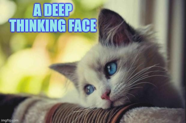 Thinking face | A DEEP THINKING FACE | image tagged in autism,thinking,deep thoughts | made w/ Imgflip meme maker