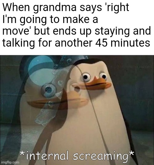 we've all been there | When grandma says 'right I'm going to make a move' but ends up staying and talking for another 45 minutes | image tagged in private internal screaming,memes | made w/ Imgflip meme maker