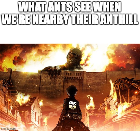 Attack On Titan | WHAT ANTS SEE WHEN WE'RE NEARBY THEIR ANTHILL | image tagged in attack on titan | made w/ Imgflip meme maker