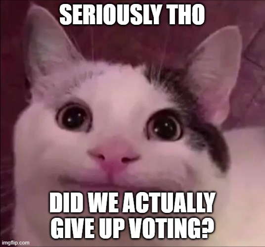 as a whole | SERIOUSLY THO; DID WE ACTUALLY GIVE UP VOTING? | image tagged in awkward smile cat | made w/ Imgflip meme maker