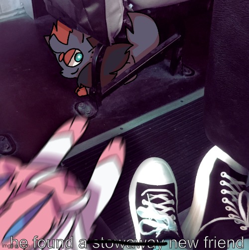 he found a stowaway new friend | made w/ Imgflip meme maker