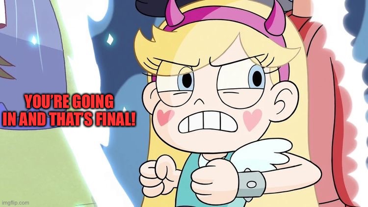 No! Please star! | YOU’RE GOING IN AND THAT’S FINAL! | image tagged in star butterfly,star vs the forces of evil,memes | made w/ Imgflip meme maker