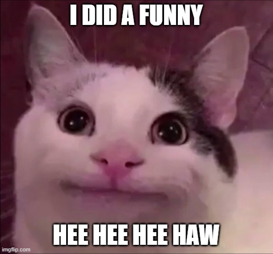 Ollie my beloved | I DID A FUNNY; HEE HEE HEE HAW | image tagged in awkward smile cat | made w/ Imgflip meme maker