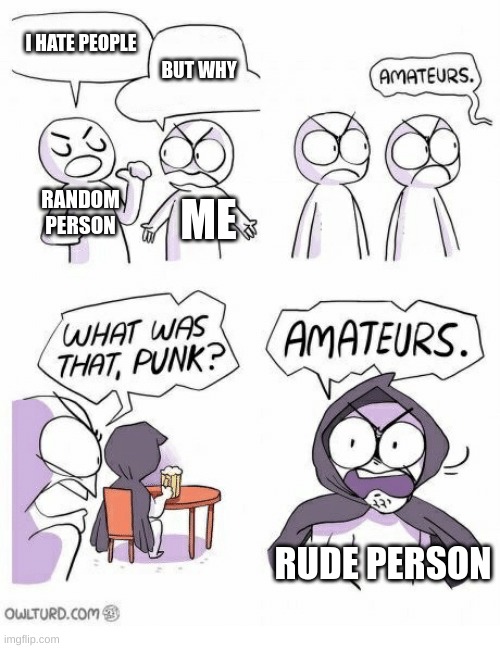 cursed | I HATE PEOPLE; BUT WHY; RANDOM PERSON; ME; RUDE PERSON | image tagged in amateurs | made w/ Imgflip meme maker