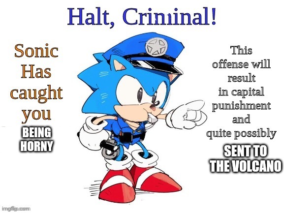 Police Sonic | BEING HORNY SENT TO THE VOLCANO | image tagged in police sonic | made w/ Imgflip meme maker
