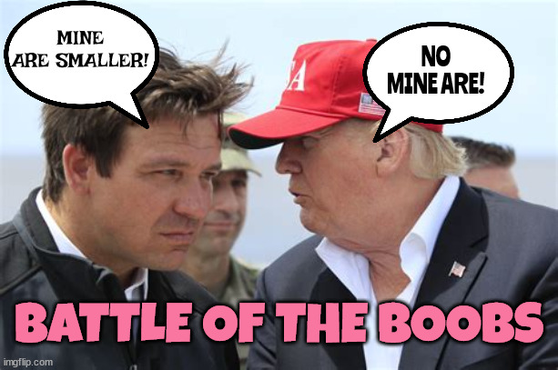 Battle of the boobs! | MINE ARE SMALLER! NO MINE ARE! BATTLE OF THE BOOBS | image tagged in donald trump,ron desantis,boobs,manboobs,c cups,maga | made w/ Imgflip meme maker