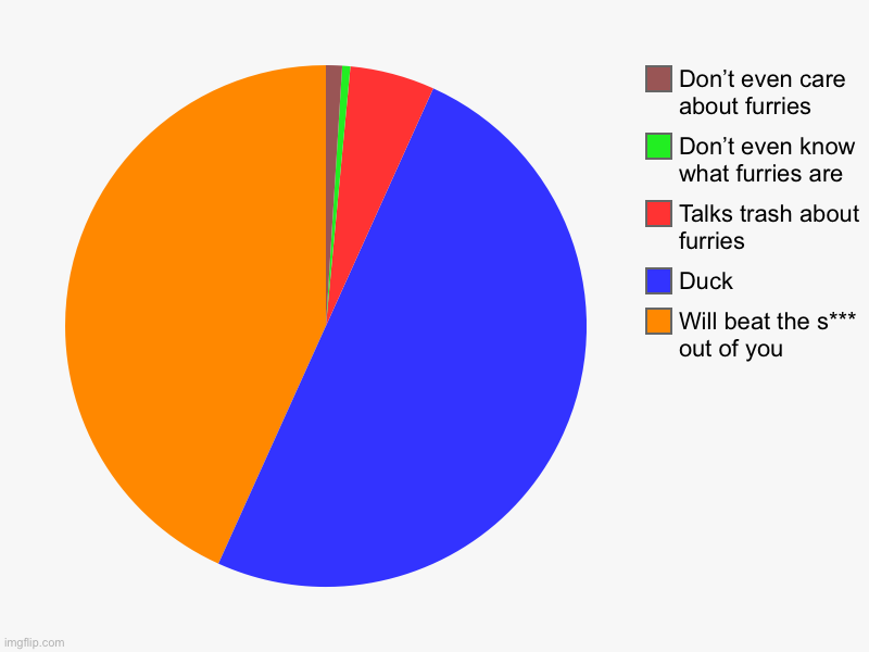 Will beat the s*** out of you, Duck, Talks trash about furries, Don’t even know what furries are, Don’t even care about furries | image tagged in charts,pie charts | made w/ Imgflip chart maker