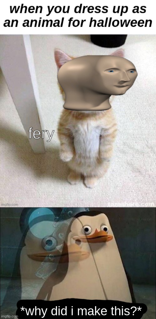 why did i make fery? | *why did i make this?* | image tagged in i dont know,poop,cat,meme man | made w/ Imgflip meme maker