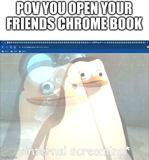 Private Internal Screaming | POV YOU OPEN YOUR FRIENDS CHROME BOOK | image tagged in private internal screaming | made w/ Imgflip meme maker