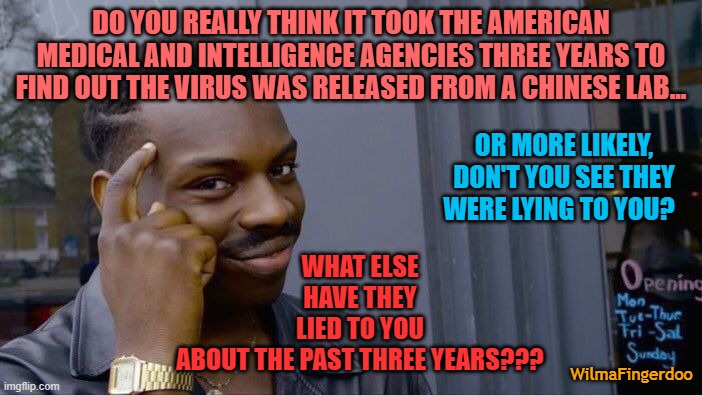 Roll Safe Think About It | DO YOU REALLY THINK IT TOOK THE AMERICAN MEDICAL AND INTELLIGENCE AGENCIES THREE YEARS TO FIND OUT THE VIRUS WAS RELEASED FROM A CHINESE LAB... WHAT ELSE HAVE THEY LIED TO YOU ABOUT THE PAST THREE YEARS??? OR MORE LIKELY, DON'T YOU SEE THEY WERE LYING TO YOU? WilmaFingerdoo | image tagged in memes,roll safe think about it,covid | made w/ Imgflip meme maker