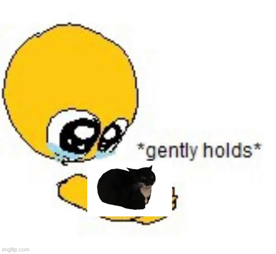 Gently holds emoji | image tagged in gently holds emoji | made w/ Imgflip meme maker