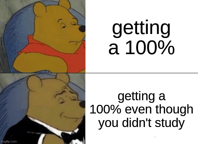 perfection | getting a 100%; getting a 100% even though you didn't study | image tagged in memes,tuxedo winnie the pooh | made w/ Imgflip meme maker