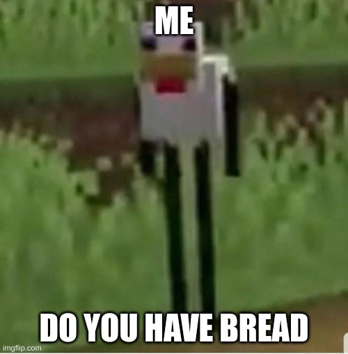 BREAD!! | ME; DO YOU HAVE BREAD | image tagged in cursed minecraft chicken | made w/ Imgflip meme maker