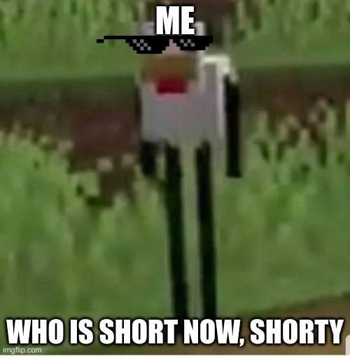 Me after School | ME; WHO IS SHORT NOW, SHORTY | image tagged in cursed minecraft chicken | made w/ Imgflip meme maker