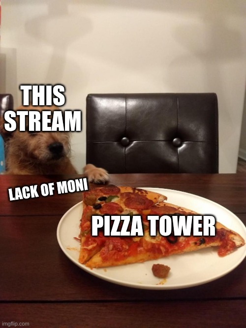 pizzer time | THIS STREAM; LACK OF MONI; PIZZA TOWER | image tagged in pizza dog | made w/ Imgflip meme maker