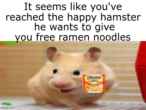 Ramen hamster | It seems like you've reached the happy hamster; he wants to give you free ramen noodles | image tagged in ramen,hamster,cute animals | made w/ Imgflip meme maker