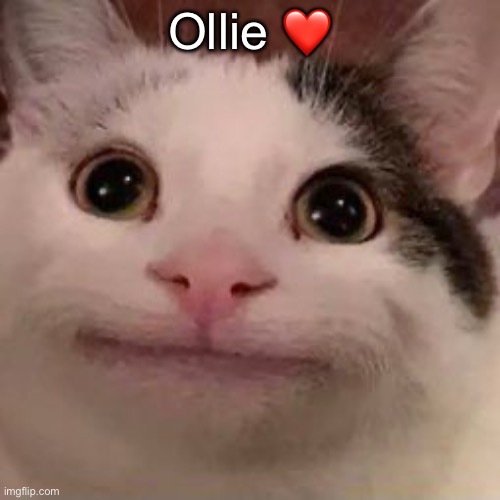 beguguluga | Ollie ❤️ | image tagged in beguguluga | made w/ Imgflip meme maker