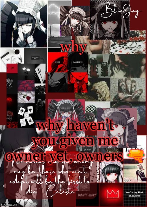 /j | why; why haven't you given me owner yet, owners 🔫 | image tagged in jaiden celeste temp | made w/ Imgflip meme maker