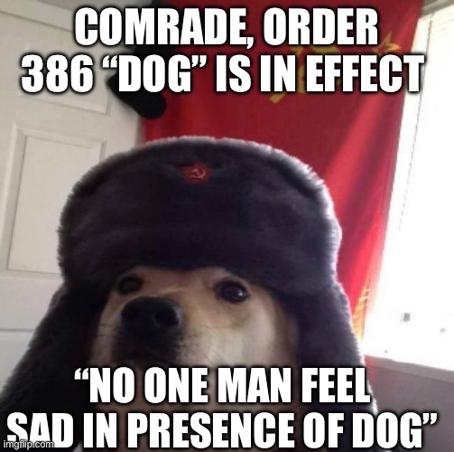 Russian Doge | COMRADE, ORDER 386 “DOG” IS IN EFFECT; “NO ONE MAN FEEL SAD IN PRESENCE OF DOG” | image tagged in russian doge | made w/ Imgflip meme maker