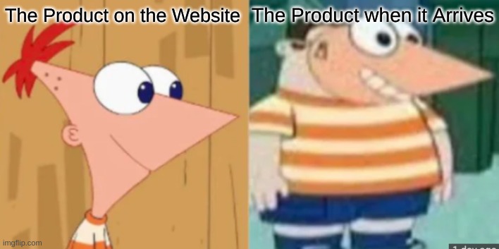 WHAT DA FU- | The Product when it Arrives; The Product on the Website | image tagged in buford dressed as phineas | made w/ Imgflip meme maker