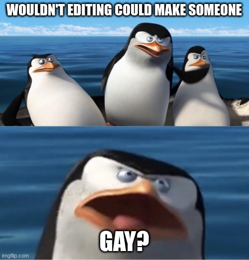 Wouldn't that make you | WOULDN'T EDITING COULD MAKE SOMEONE; GAY? | image tagged in wouldn't that make you | made w/ Imgflip meme maker