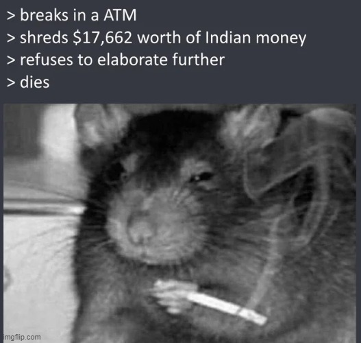 rat mindset | image tagged in memes,funny,repost | made w/ Imgflip meme maker
