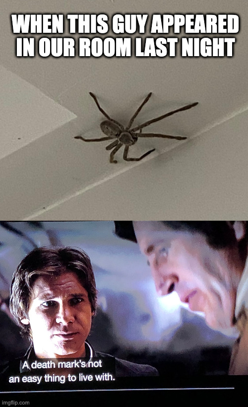 Death mark | WHEN THIS GUY APPEARED IN OUR ROOM LAST NIGHT | image tagged in death mark,hans solo,the empire strikes back,spider | made w/ Imgflip meme maker