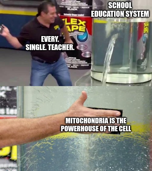 Flex Tape | SCHOOL EDUCATION SYSTEM; EVERY. SINGLE. TEACHER. MITOCHONDRIA IS THE POWERHOUSE OF THE CELL | image tagged in flex tape | made w/ Imgflip meme maker
