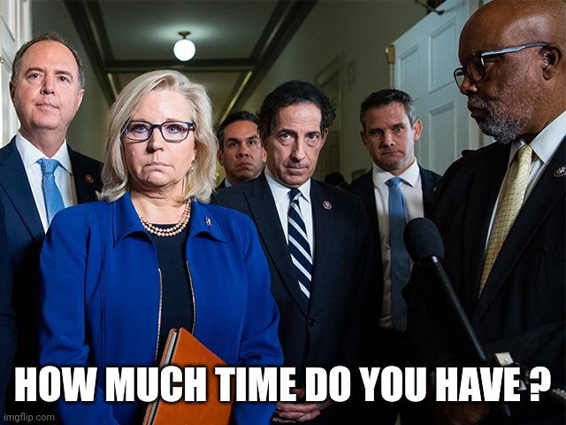 J6 Committee | HOW MUCH TIME DO YOU HAVE ? | image tagged in j6 committee | made w/ Imgflip meme maker