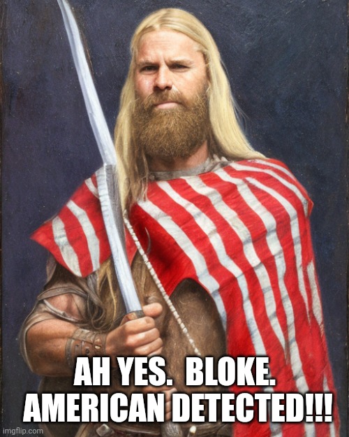 The New Standard Dammit! | AH YES.  BLOKE.  AMERICAN DETECTED!!! | image tagged in the new standard dammit | made w/ Imgflip meme maker