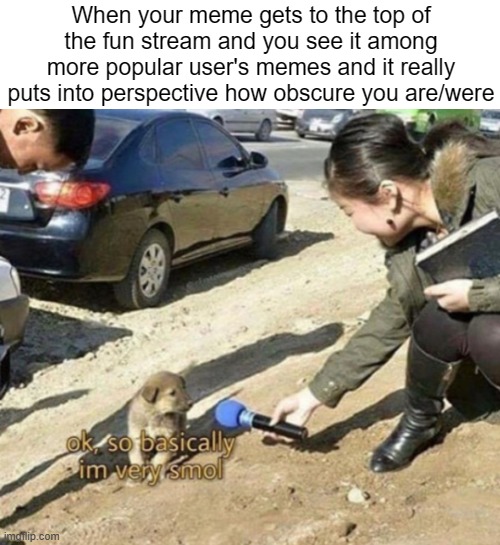 Oddly specific, but rather true. | When your meme gets to the top of the fun stream and you see it among more popular user's memes and it really puts into perspective how obscure you are/were | image tagged in very smol | made w/ Imgflip meme maker