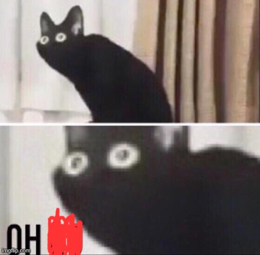 Oh no cat | image tagged in oh no cat | made w/ Imgflip meme maker