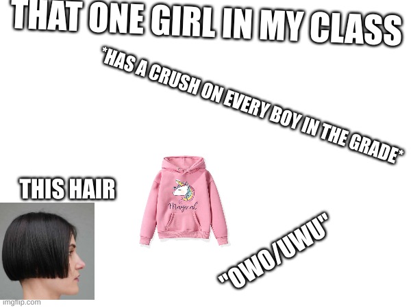 fun fact! she let me read her diary. turns out, she has a crush on me. what a suprise | THAT ONE GIRL IN MY CLASS; *HAS A CRUSH ON EVERY BOY IN THE GRADE*; THIS HAIR; "OWO/UWU" | image tagged in lol,memes,classroom,school | made w/ Imgflip meme maker