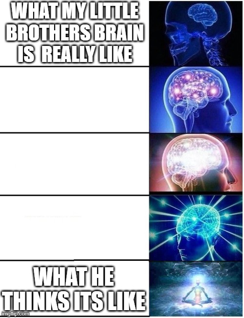 isnt this so relatable | WHAT MY LITTLE BROTHERS BRAIN IS  REALLY LIKE; WHAT HE THINKS ITS LIKE | image tagged in expanding brain 5 panel | made w/ Imgflip meme maker