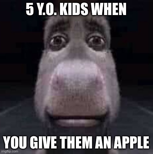 Tf did you just give me? | 5 Y.O. KIDS WHEN; YOU GIVE THEM AN APPLE | image tagged in donkey staring | made w/ Imgflip meme maker