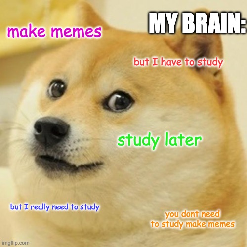 Insert Title Here | MY BRAIN:; make memes; but I have to study; study later; but I really need to study; you dont need to study make memes | image tagged in memes,doge | made w/ Imgflip meme maker