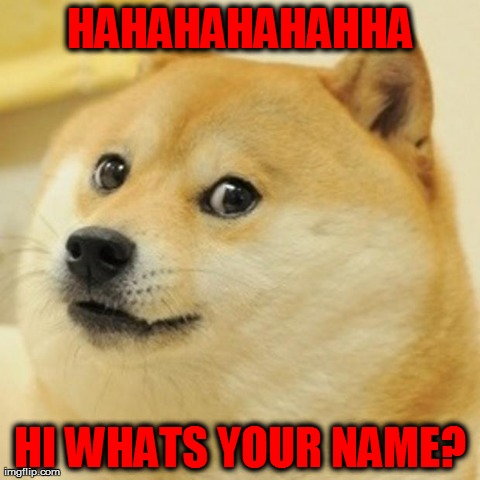 Doge Meme | HAHAHAHAHAHHA HI WHATS YOUR NAME? | image tagged in memes,doge | made w/ Imgflip meme maker