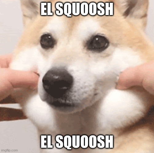 EL SQUOOSH | EL SQUOOSH; EL SQUOOSH | image tagged in dogs,memes,funny | made w/ Imgflip meme maker