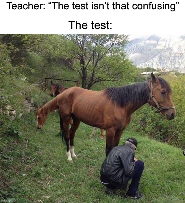 Totally not confusing at all… | Teacher: “The test isn’t that confusing”; The test: | image tagged in memes,funny,true story,relatable memes,school,hmm | made w/ Imgflip meme maker