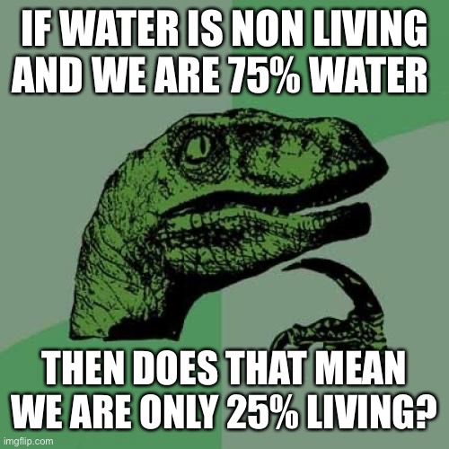 I came up with this on my own I didn’t take it from Ryan Lombard or anything | IF WATER IS NON LIVING AND WE ARE 75% WATER; THEN DOES THAT MEAN WE ARE ONLY 25% LIVING? | image tagged in memes,philosoraptor | made w/ Imgflip meme maker