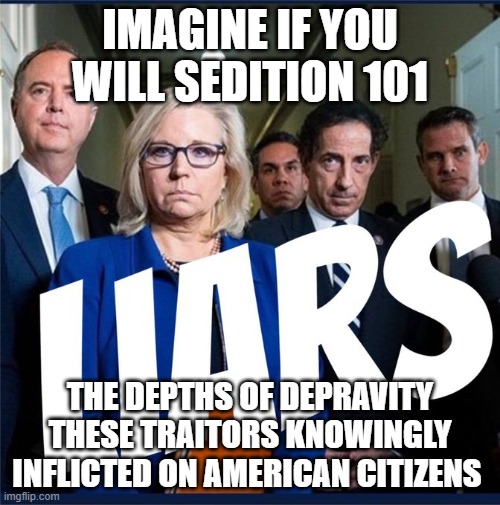 Imagine if you will | IMAGINE IF YOU WILL SEDITION 101; THE DEPTHS OF DEPRAVITY THESE TRAITORS KNOWINGLY INFLICTED ON AMERICAN CITIZENS | image tagged in imagine if you will | made w/ Imgflip meme maker
