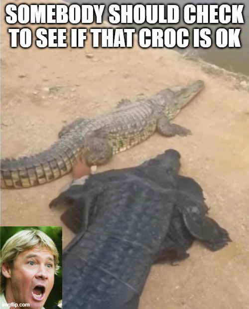 Crikey | SOMEBODY SHOULD CHECK TO SEE IF THAT CROC IS OK | image tagged in unsee juice | made w/ Imgflip meme maker