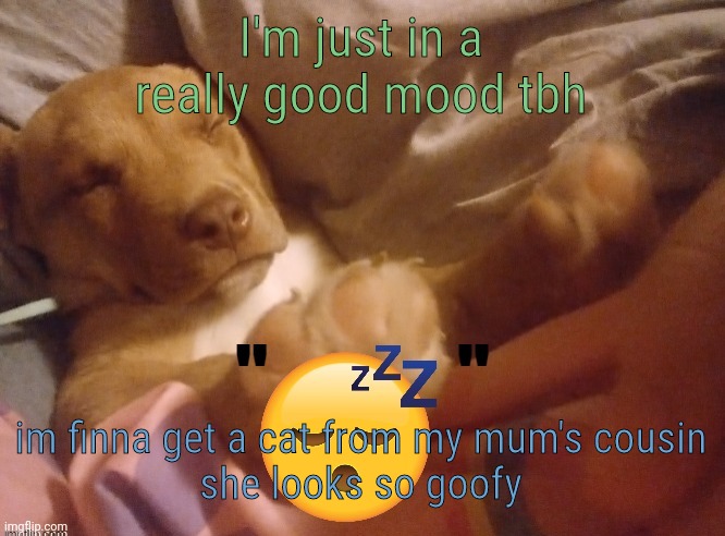 quandale | I'm just in a really good mood tbh; im finna get a cat from my mum's cousin
she looks so goofy | image tagged in quandale | made w/ Imgflip meme maker