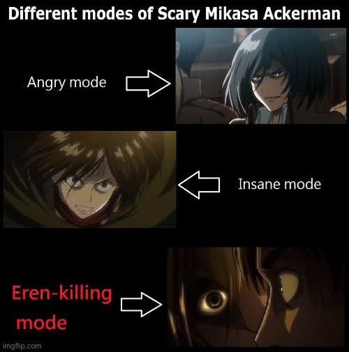 True | image tagged in true story,mikasa ackerman,scary | made w/ Imgflip meme maker