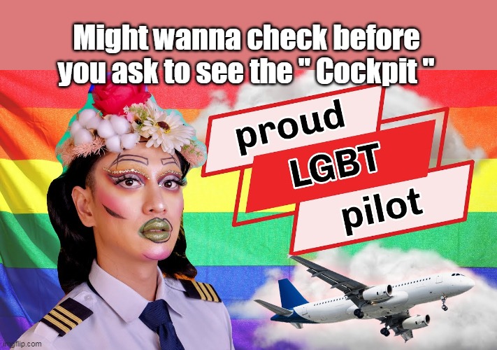 Might wanna check before you ask to see the " Cockpit " | made w/ Imgflip meme maker